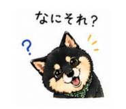 839151272