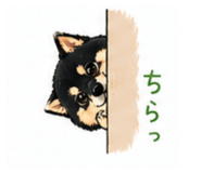 839151276