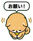 839151955