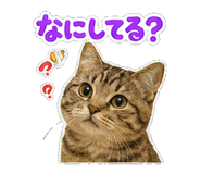 839152082