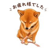 839152987