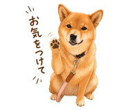 839153001