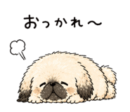 839153123