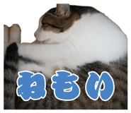 839153446