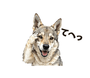 839153876