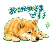 839154168
