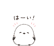 839154557