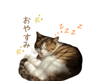 839155029