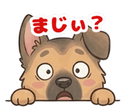 839155117