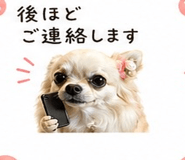 839155144