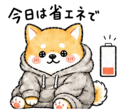 839155242
