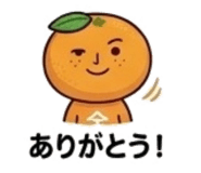 839155292