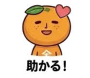 839155294