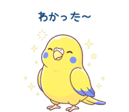 839155504