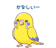 839155506