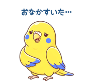 839155509