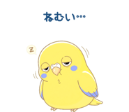 839155510