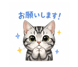 839155555