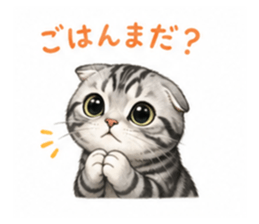 839155572