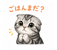 839155572