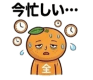 839155637