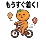 839155640