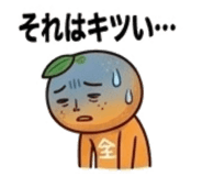839155657
