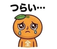 839155658