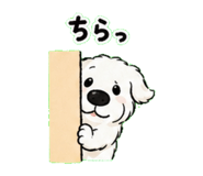 839155698
