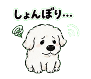 839155699