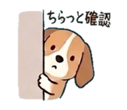 839155992
