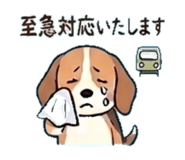 839156007