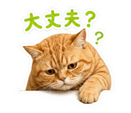 839156254