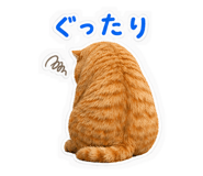 839156272