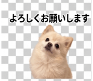 839156453