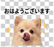 839156456