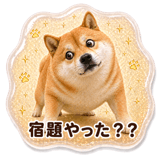 839156510