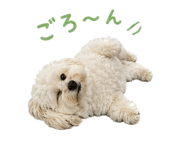 839156599