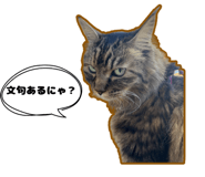 839156661