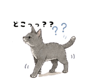 839156837