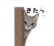 839156839