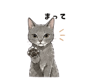 839156847