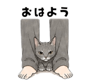 839156856