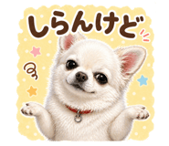 839157456