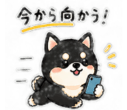 839158123