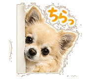 839158720