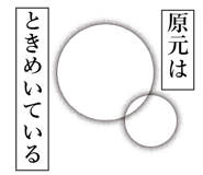 839162893