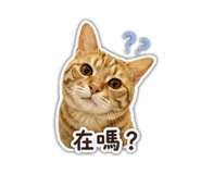 839164961