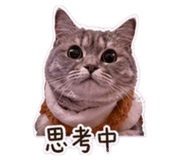 839165126