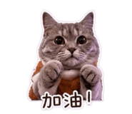 839165131